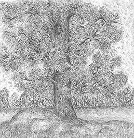 placeholder image-sq