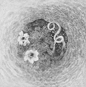 placeholder image-sq