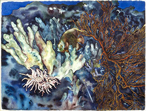 placeholder image-sq