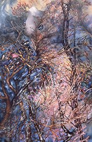 placeholder image-sq