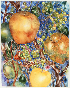 placeholder image-sq