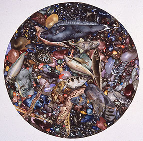 placeholder image-sq