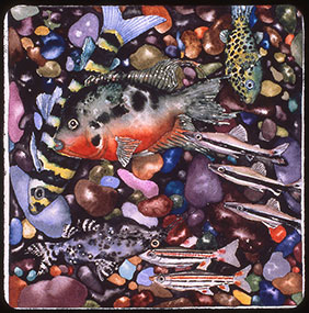 placeholder image-sq